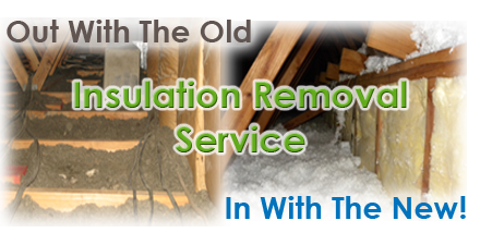 Dallas insulation removal contractor